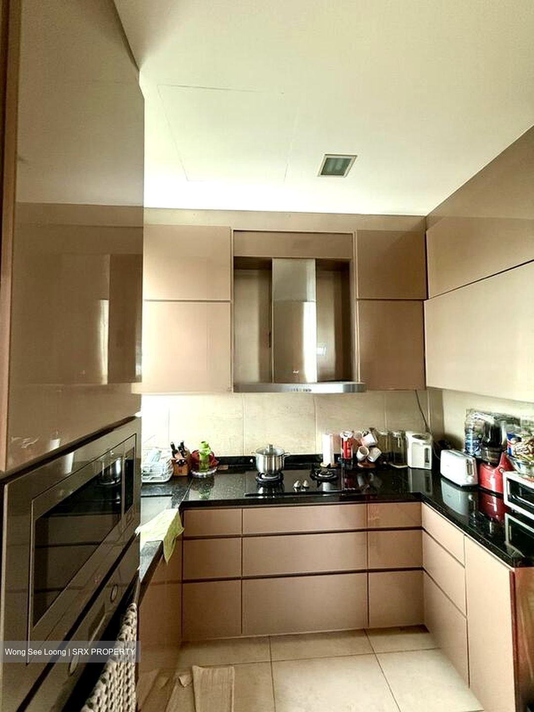 The Hillside (D21), Condominium #501649191